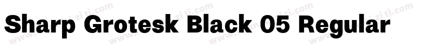 Sharp Grotesk Black 05 Regular字体转换